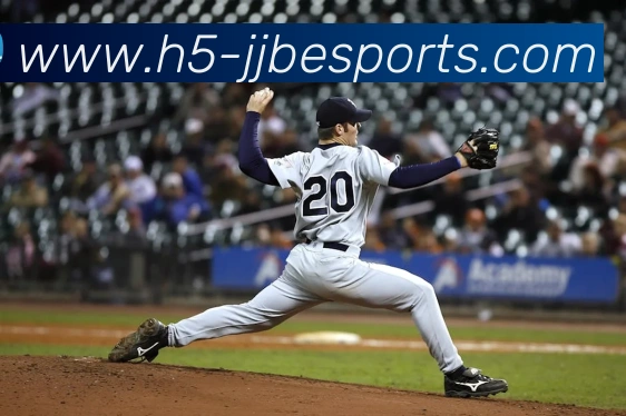 球赛投注平台生态图