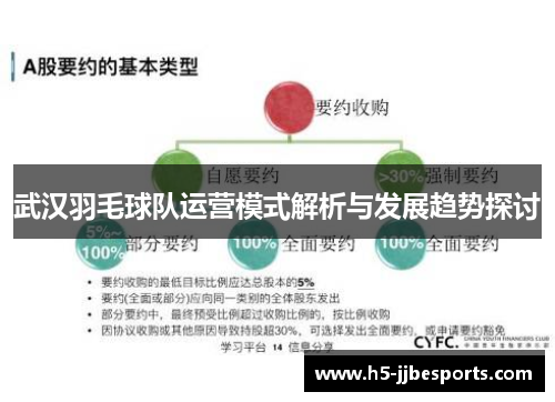 武汉羽毛球队运营模式解析与发展趋势探讨
