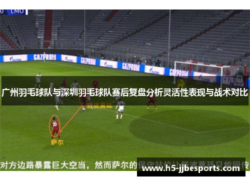 广州羽毛球队与深圳羽毛球队赛后复盘分析灵活性表现与战术对比