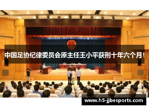 中国足协纪律委员会原主任王小平获刑十年六个月！