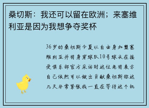 桑切斯：我还可以留在欧洲；来塞维利亚是因为我想争夺奖杯